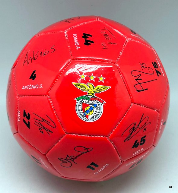 Bola de Futebol Assinaturas Vermelha SL Benfica ref.5021844