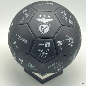 Bola SL Benfica Assinaturas ref.5021843