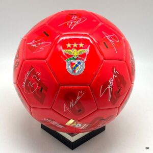 Bola SL Benfica Assinaturas ref.5021844